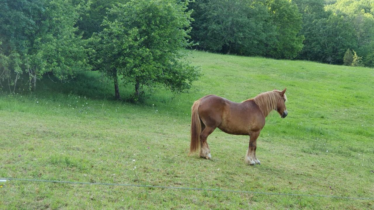 Domaine Du Cardou Otel Puy-lʼÉvêque Dış mekan fotoğraf