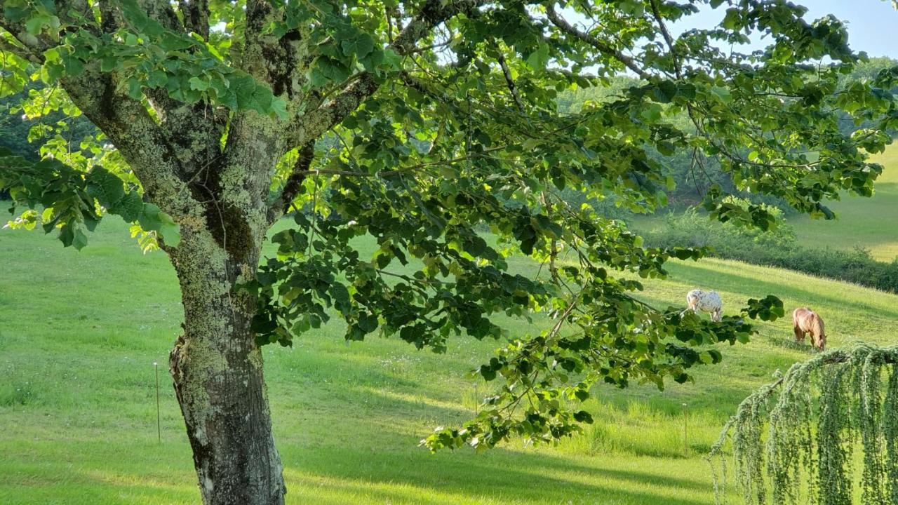Domaine Du Cardou Otel Puy-lʼÉvêque Dış mekan fotoğraf