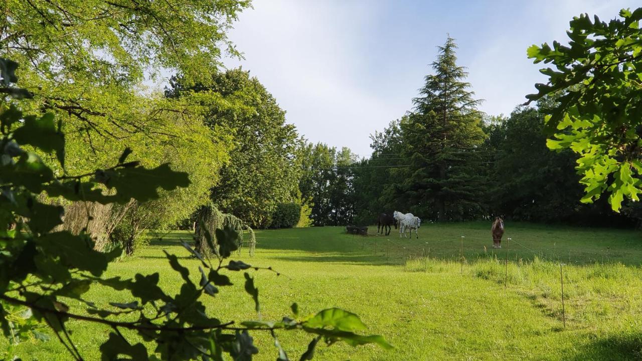 Domaine Du Cardou Otel Puy-lʼÉvêque Dış mekan fotoğraf