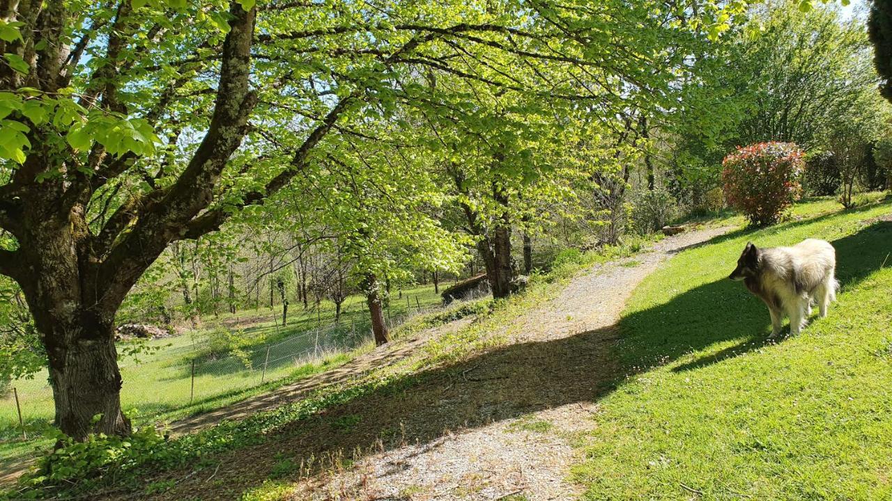 Domaine Du Cardou Otel Puy-lʼÉvêque Dış mekan fotoğraf